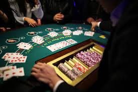 ipl Sportsbook